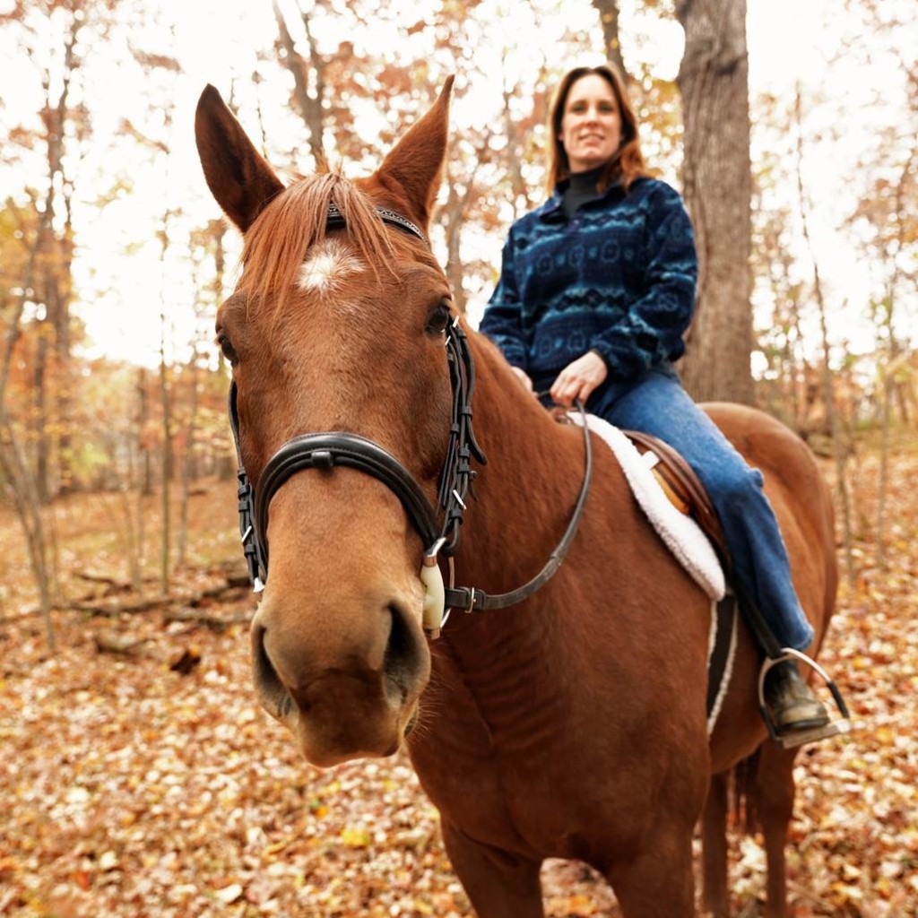 Horse and Lady Rider