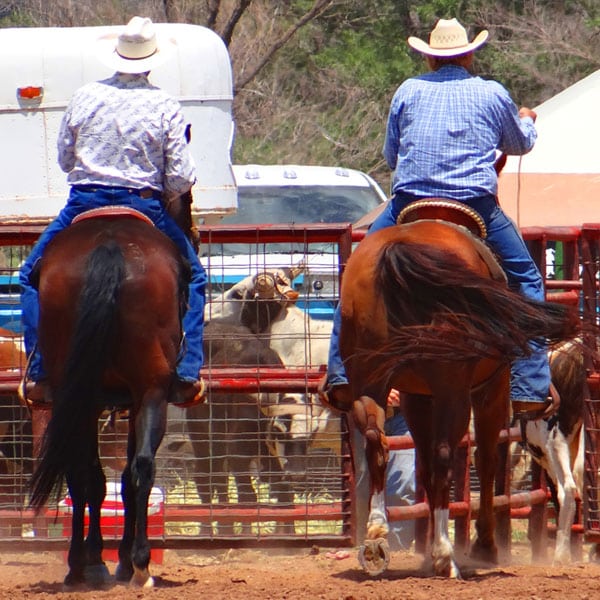 2-men-on-horseback-600