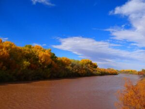 Rio Grande Autumn