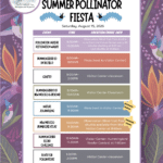Bosque del Apache National Wildlife Refuge: Summer Pollinator Fiesta