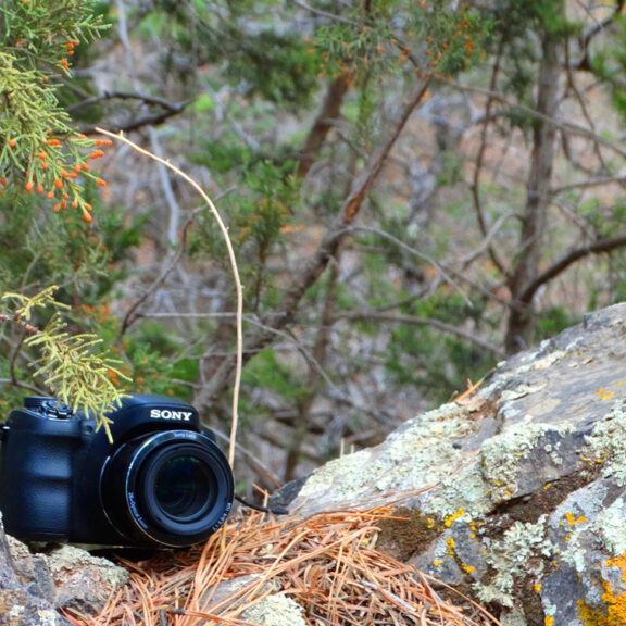 Camera-at-Water-Canyon