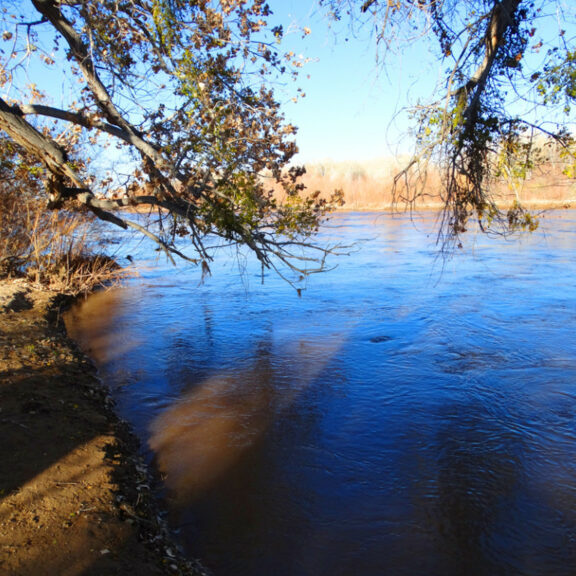 Riverine-Rio-Grande1