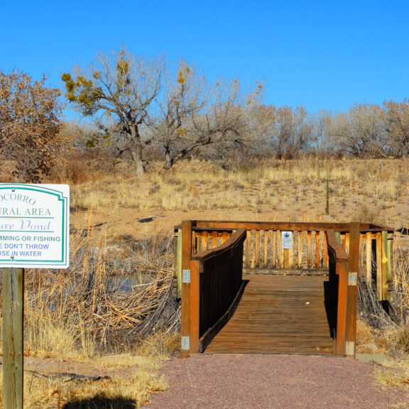 Socorro-Nature-Area-Pond