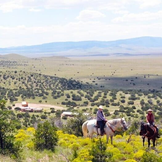 View at Concho Hills